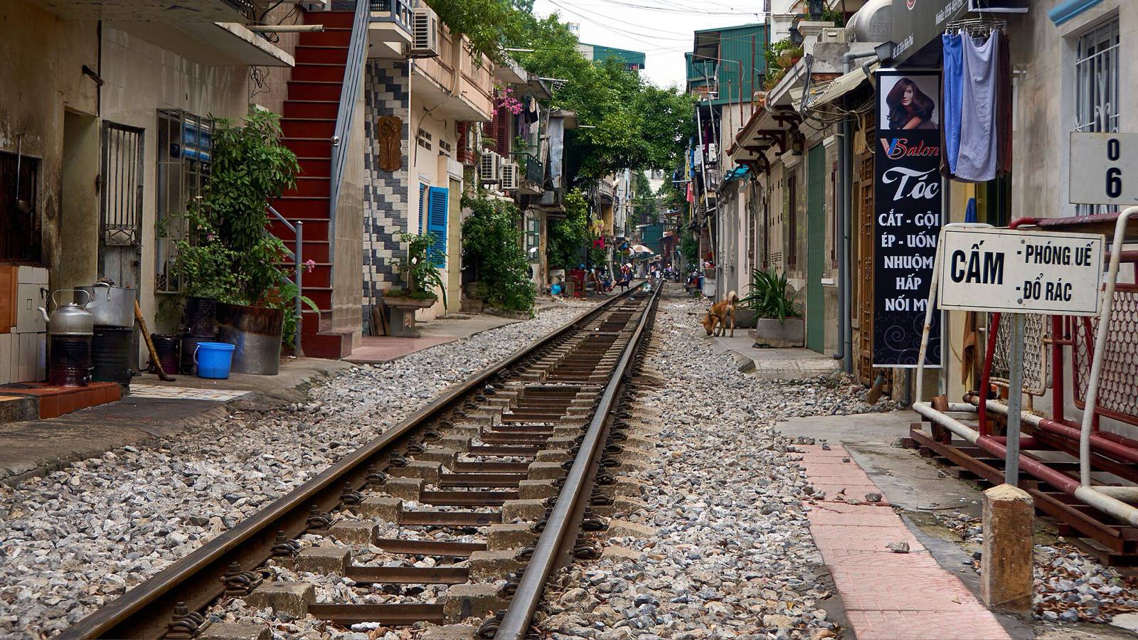 Railway tracks running between houses, plants and cafes on Hanoi's Train Street in daylight