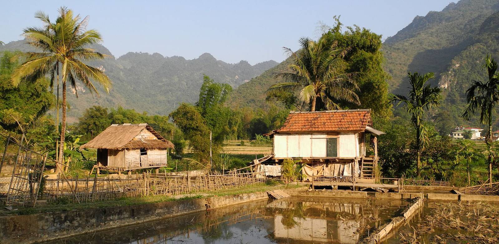 A thatched stilt house and a tile-roofed stilt house beside flooded fields in the Mai Chau valley, with forested limestone mountains behind under a clear sky