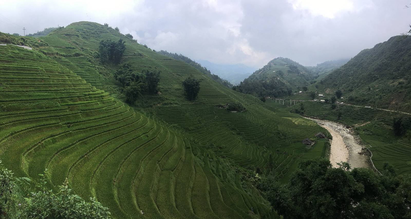 Green rice terraces curving down the slopes of the Muong Hoa valley near Lao Chai, Sapa, with a river below and mountains in cloud