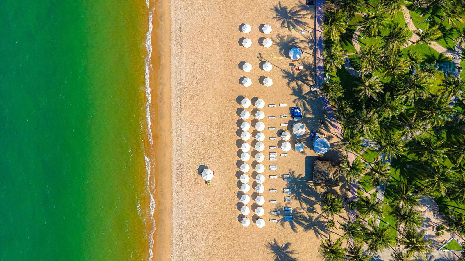 Aerial view of Tran Phu beach in Nha Trang, with rows of white umbrellas between the sea and the palm-lined promenade